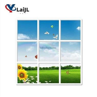 Sky Ceiling LED-paneler
